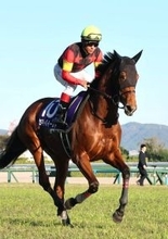 【注目馬動向】エリザベス女王杯６着のセキトバイーストは引き続き浜中俊騎手とのコンビで金鯱賞へ