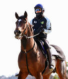 「「ちょっと待て」「成長分か？」フェブラリーＳ直前の馬体重発表で２桁増のラムジェットにＳＮＳ反応」の画像1