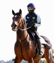 「ちょっと待て」「成長分か？」フェブラリーＳ直前の馬体重発表で２桁増のラムジェットにＳＮＳ反応