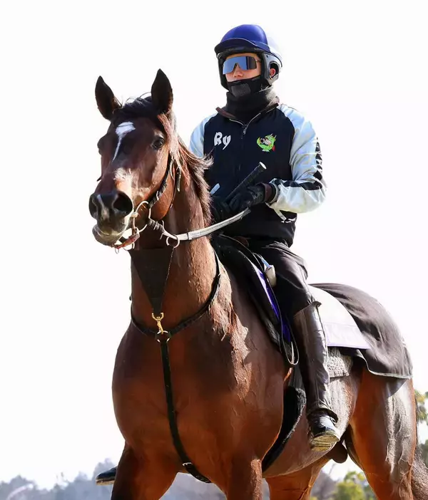 「ちょっと待て」「成長分か？」フェブラリーＳ直前の馬体重発表で２桁増のラムジェットにＳＮＳ反応