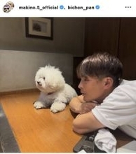 Ｊ２藤枝・槙野智章監督、インスタフォロワー１０万人の愛犬「ぱんちゃん」の誕生日を祝福！