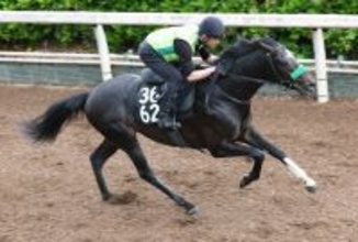 【ユニコーンＳ】３戦２勝のメルカントゥールは坂路でテンポ良く加速ラップ　杉山晴調教師「変わらず順調」