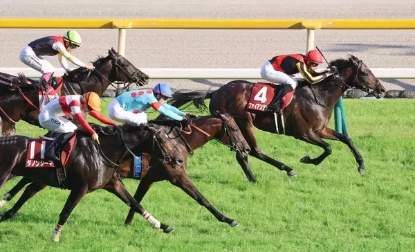 【目黒記念】ダノンシーマは３着　川田将雅騎手は「勝ち馬が明らかに実績に見合わない軽い斤量がついている」と検討を要請