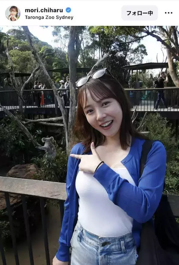 「コアラって何でこんなにかわいいんだろう…」シドニーを満喫する森千晴アナ「コアラも千晴ちゃんも可愛い！」　
