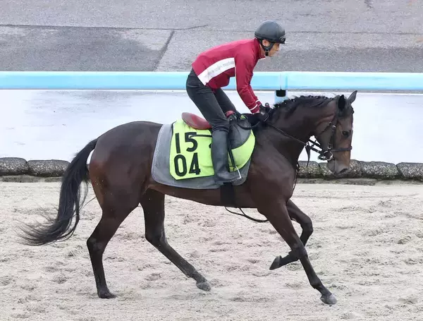 【ＰＯＧ】ソフト柳田悠岐オーナーのブラックミューズ「初戦から楽しみ」２０日阪神５Ｒでデビュー