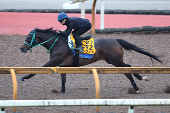 【小倉記念・理貴の特注馬】良血サフィラが“スパイス”加え変身　池添調教師「メンコをゲート裏で外してみます」