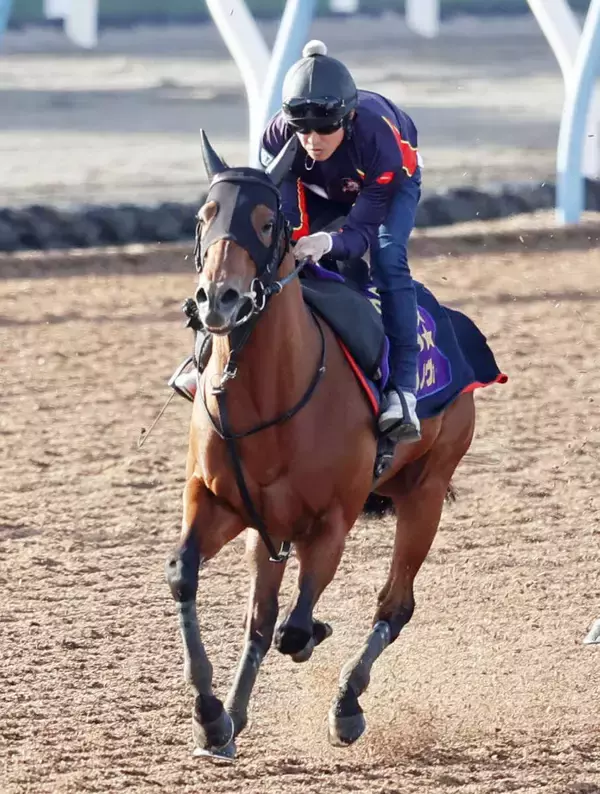 【注目馬動向】フェブラリーＳ連覇のコスタノヴァが左前脚球節のクリーニング手術へ