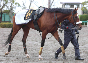 骨折からの復帰目指す青葉賞２着タイダルロック　２０日の追い切りで異変発生...エコー検査へ