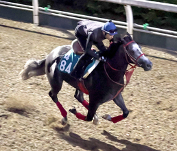 【中京２歳Ｓ】４頭出し森秀厩舎勢の筆頭格ジャスパートレノが坂路で鋭い伸び　陣営「動きは申し分ない」