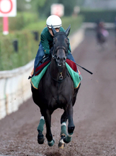 「ここまでとは…」「マジかよｗｗｗ」Ｇ１初挑戦馬の断トツ人気にネット騒然　秋華賞出走モンローウォーク
