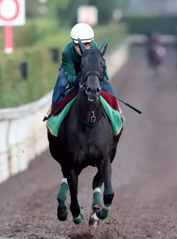 「ここまでとは…」「マジかよｗｗｗ」Ｇ１初挑戦馬の断トツ人気にネット騒然　秋華賞出走モンローウォーク