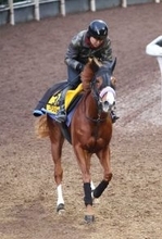 【小倉牝馬Ｓ・追い切り】クリノメイが全休日明けに坂路を軽快に駆ける　陣営「雰囲気も折り合いも良かったです」