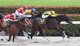 「【ブリリアントＳ】タイトニットが外を回る強い競馬でオープン昇級後の初勝利を挙げる　荻野極騎手「馬を褒めたい」」の画像1