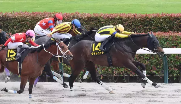 【ブリリアントＳ】タイトニットが外を回る強い競馬でオープン昇級後の初勝利を挙げる　荻野極騎手「馬を褒めたい」