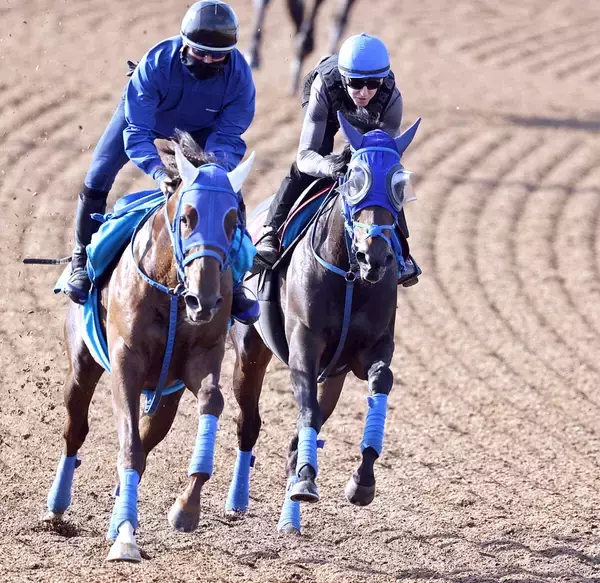 【オークス】トライアルＶの勢い維持！馬なりで半馬身先着したラフターラインズにレーン騎手「余裕をもっていい仕上がり」