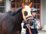 「【日本ダービー・特選有力馬チェック】コンジェスタスは買うべき？」の画像1