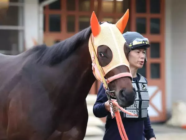 【日本ダービー・特選有力馬チェック】コンジェスタスは買うべき？