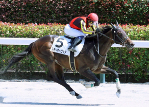 ２０日死去の萩原清調教師の元管理馬で東京８Ｒを勝利　武藤雅騎手「先生に恩返しができた」