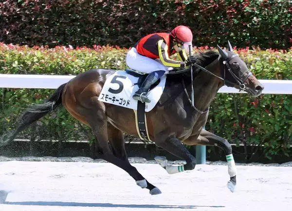 ２０日死去の萩原清調教師の元管理馬で東京８Ｒを勝利　武藤雅騎手「先生に恩返しができた」