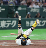 「【巨人】避けたボールがストライク…６回までに８Ｋ無得点　曽谷龍平の魔球「ジェットコースタースライダー」に苦戦…長嶋茂雄さん一周忌」の画像1