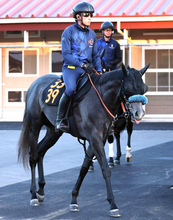 【ラジオＮＩＫＫＥＩ賞】宮田調教師「自分との戦い」　スペルーチェは初の１８００メートルがカギ
