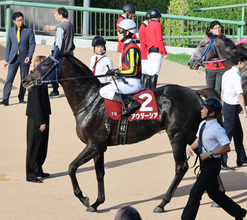 【注目馬動向】セントライト記念３着のアウダーシアは菊花賞へ　サンデーサラブレッドクラブが発表