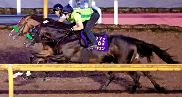 【神戸新聞杯】２冠馬ロブチェンが抜群の推進力見せラスト１１秒５　陣営「究極の理想を言えば、ムチなしで勝ってほしい」
