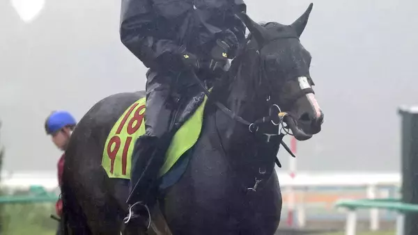 【ＰＯＧ談義】「新馬のルメールは買い！」調教動いた良血馬を“格言“も後押し　現場記者が「これは走る」と聞いた馬も初陣