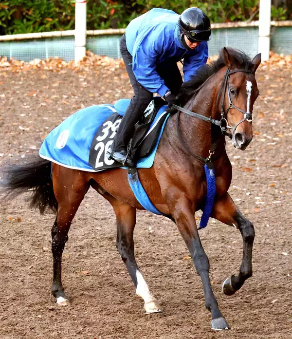 【ＰＯＧ】ディアドラの全弟　イベントホライゾンは１３日中京で初陣　松山弘平騎手「芝は合いそう」