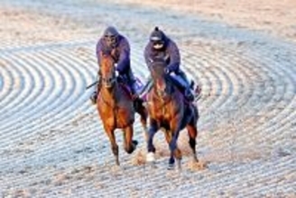 【有馬記念１週前】連覇狙うレガレイラがラスト１１秒３　陣営「あとは週末、来週で良い変化があれば」