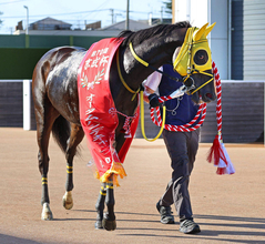 ２５年の京成杯ＡＨを制したホウオウラスカーズが競走馬登録抹消　今後は岡田スタッドで繁殖馬に