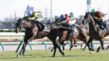 池江泰寿調教師がＪＲＡ史上２７人目の通算９００勝「オルフェーヴルのような馬を育てていけるよう精進したい」