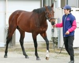 【東京新聞杯】７戦ぶりにマイル戦のシリウスコルト　田中勝調教師が挙げた課題とは