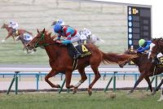 【エルフィンＳ】１番人気のスウィートハピネスが突き抜けた　桜花賞へ直行も