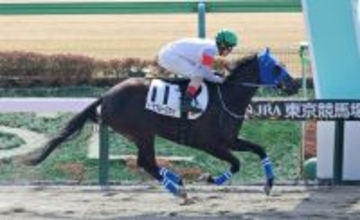 【東京４Ｒ・３歳新馬】ダノンレジェンド産駒ノースブルースカイが逃げ切ってＶ発進　今後は短距離路線へ