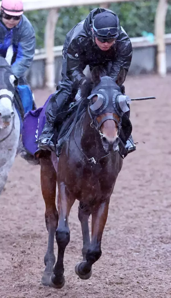 【スプリングＳ】報知杯弥生賞Ｖの僚馬バステールに続く！斉藤崇調教師「重賞でも引けを取らない」とサウンドムーブに手応えあり