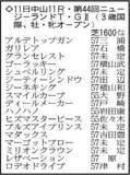 「【ニュージーランドＴ展望】無傷３連勝での重賞初制覇を狙うロデオドライブが主役候補　素質上位のゴーラッキーが逆転候補」の画像1
