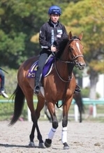 【天皇賞・春】前進気勢抜群のホーエリート、万全の前々日輸送で７３年ぶりの牝馬制覇狙う