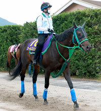 【安田記念・金曜気配】安定したレース運びのワールズエンド　池添調教師「変わりなくきています」６枠１１番に決定