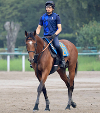 【関屋記念・枠順確定】宮田厩舎に転厩初戦のダノンセンチュリーは５枠８番　トップハンデのエルトンバローズは７番枠