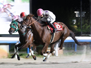 【読売レディス杯】高知から遠征のスカンジナビアが８連勝で重賞初勝利　井上瑛太騎手「自信満々で金沢まで来ました」