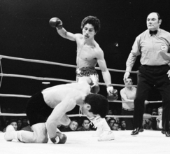 【ボクシング】元世界３階級制覇王者が死去 世界戦１７連続ＫＯ防衛のウィルフレド・ゴメスさん