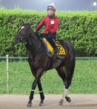 【注目馬動向】クイーンズウォークはエリザベス女王杯でＣデムーロ騎手と新コンビを結成　