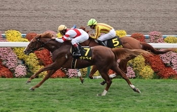 【京都９Ｒ・萩Ｓ】レコードホルダーのイッペイが鮮やか２連勝　浜中俊騎手「雨がすぐにやんだのも良かった」