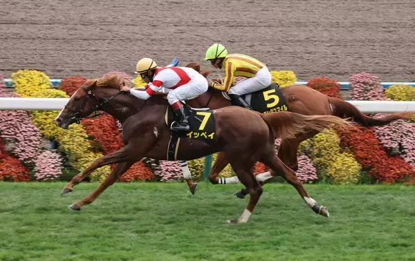 【京都９Ｒ・萩Ｓ】レコードホルダーのイッペイが鮮やか２連勝　浜中俊騎手「雨がすぐにやんだのも良かった」