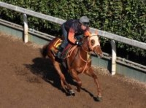 【阪神ＪＦ】馬トク外厩情報…桜花賞へ直結する一戦　“厩舎×育成”の黄金パターンが浮上