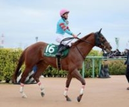 【カペラＳ】大外枠と斤量に泣く…ヤマニンチェルキ２着　重賞４連勝でのＪＲＡ重賞初制覇ならず