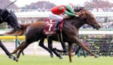 ２３年京王杯２歳Ｓの覇者コラソンビートが抹消　報知杯ＦＲでも２着　ビッグレッドファームで繁殖入り