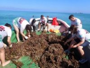 「沖縄ウミガメ祭」を３月７日開催　“たのしむ、しる、つながる”体験で海を守りたくなるきっかけに