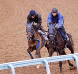 「【報知杯ＦＲ】ギリーズボール巻き返しへ鋭く伸びて先着　手塚久調教師「前回よりもずいぶん良くなっている」」の画像1
